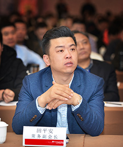 田平安(执行会长)